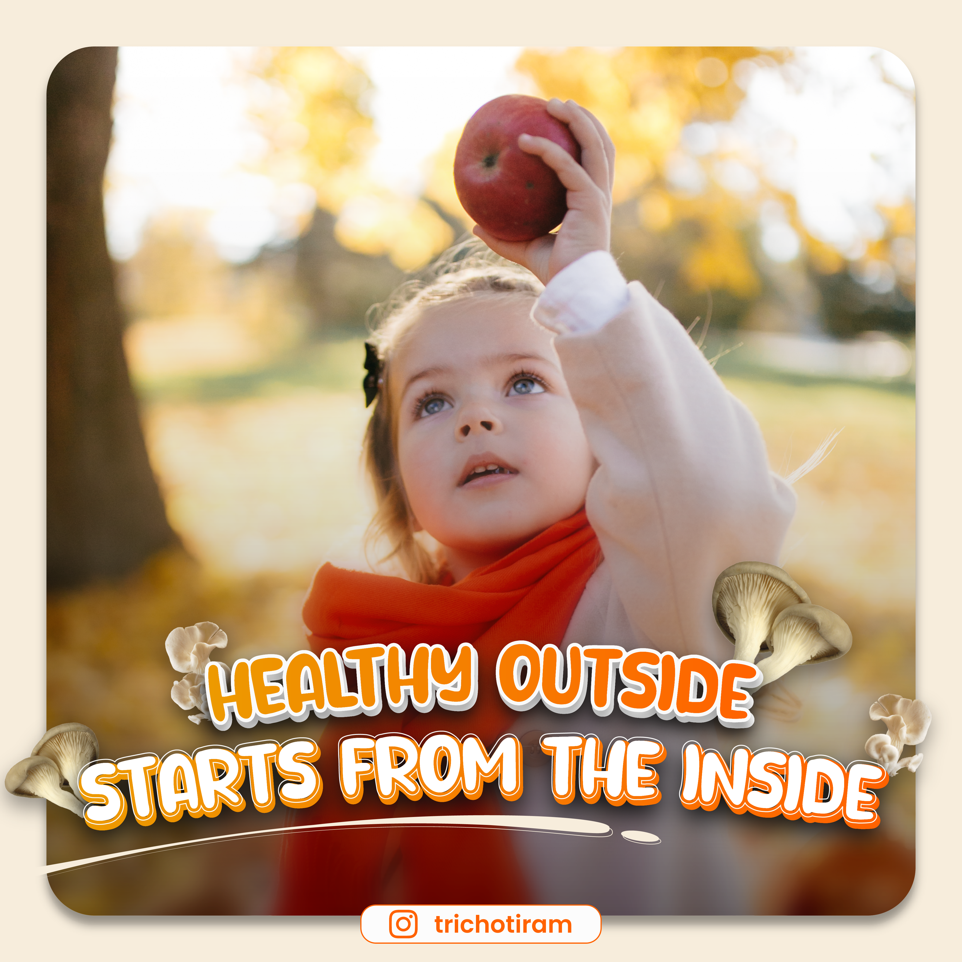 Take a look inside